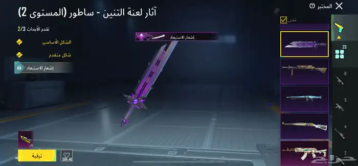 حساب ببجي نادر 17
