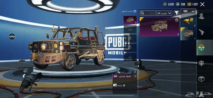 حساب ببجي 19