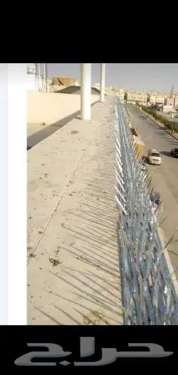 تركيب طارد حمام تركيب شبك اشواك مانع الحمام 4