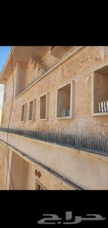 تركيب طارد حمام تركيب شبك اشواك مانع الحمام 1