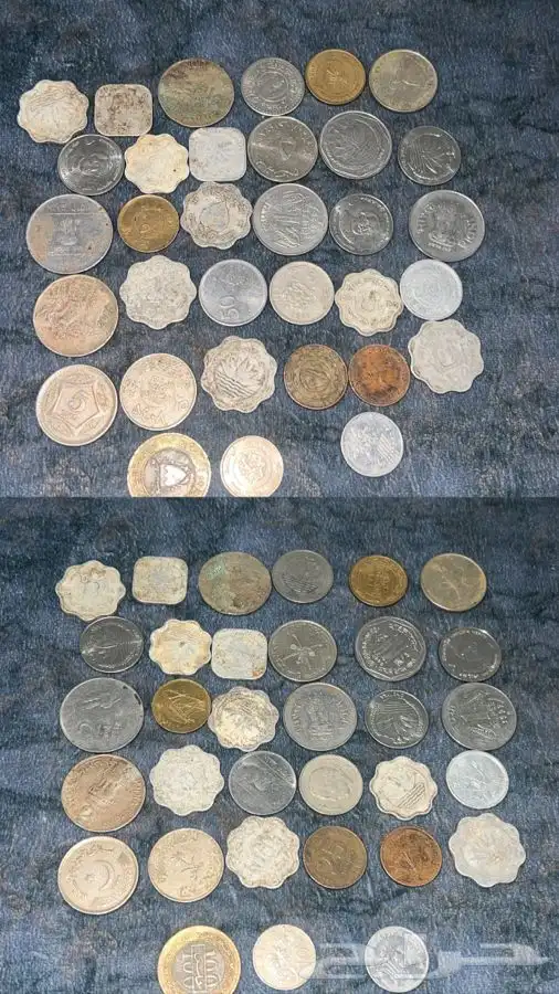 بيشه 1