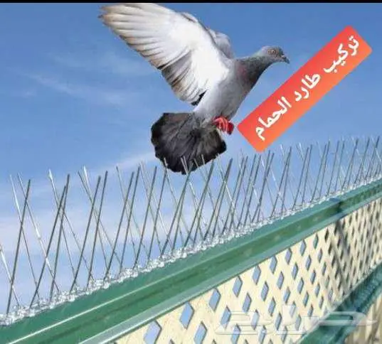 تركيب طارد حمام تركيب شبك اشواك مانع الحمام 0