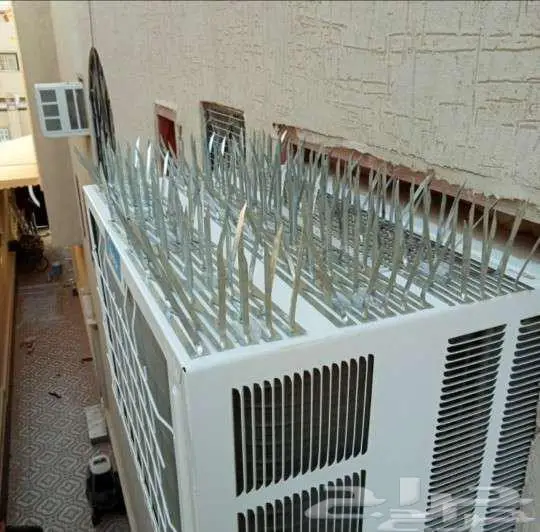 تركيب طارد حمام تركيب شبك اشواك مانع الحمام 3