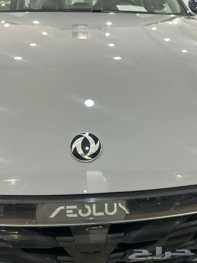 دونج فينج شاين E1 2025 5