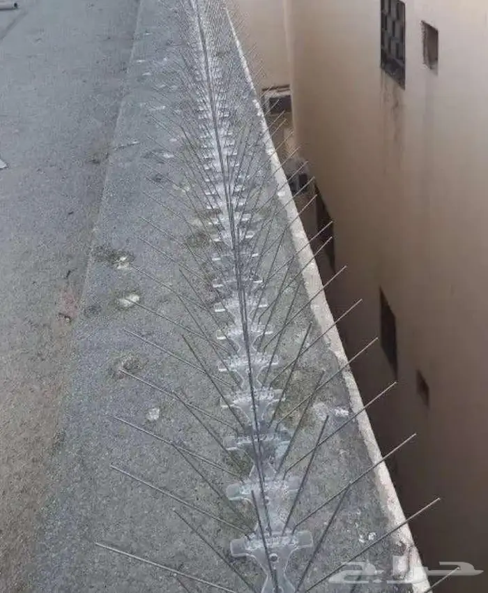 تركيب طارد حمام تركيب شبك اشواك مانع الحمام 5