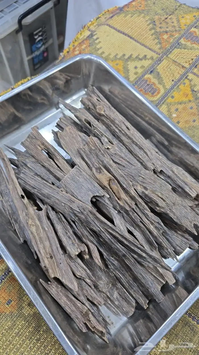 عود هندي ناجلاند 1