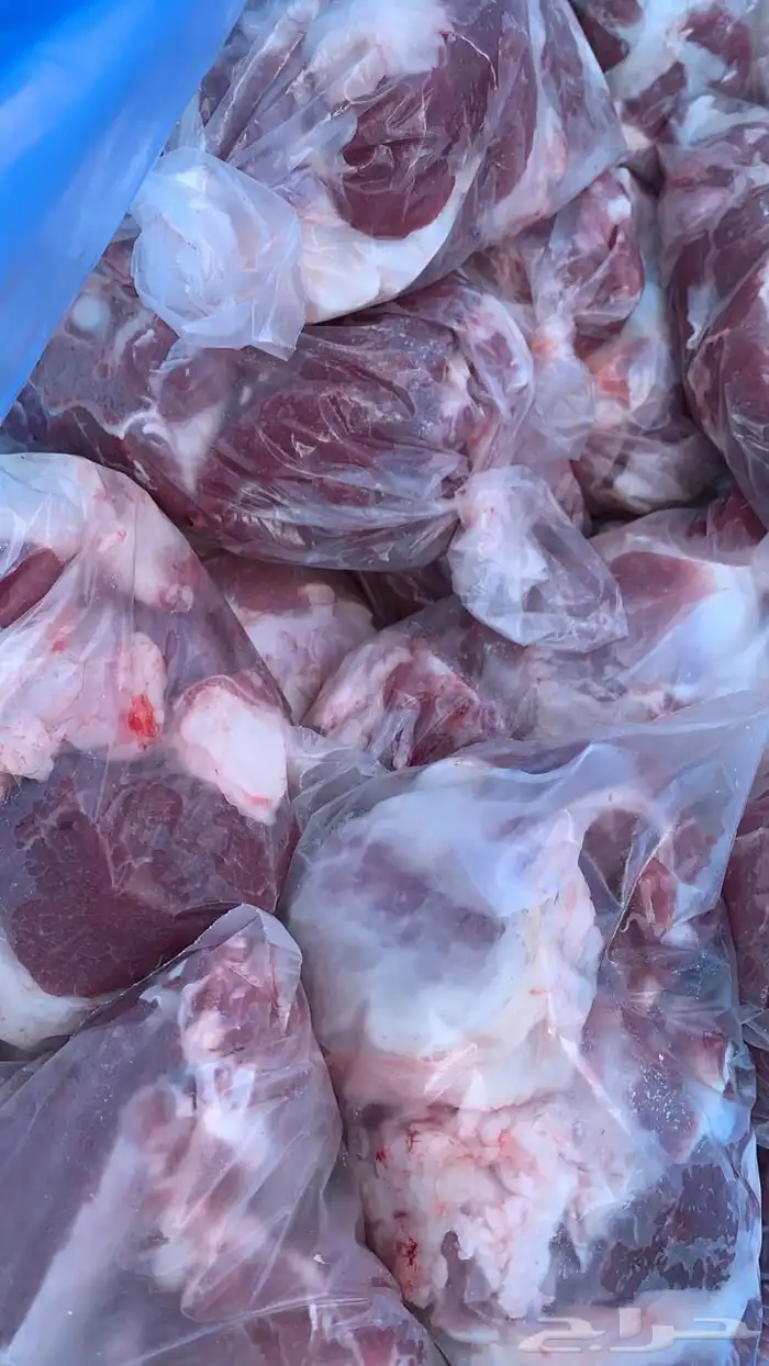 ذبايح الرس 1