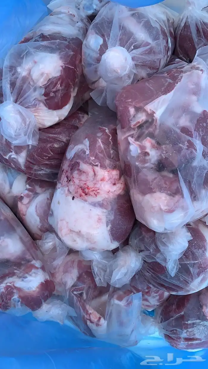 ذبايح الرس 8