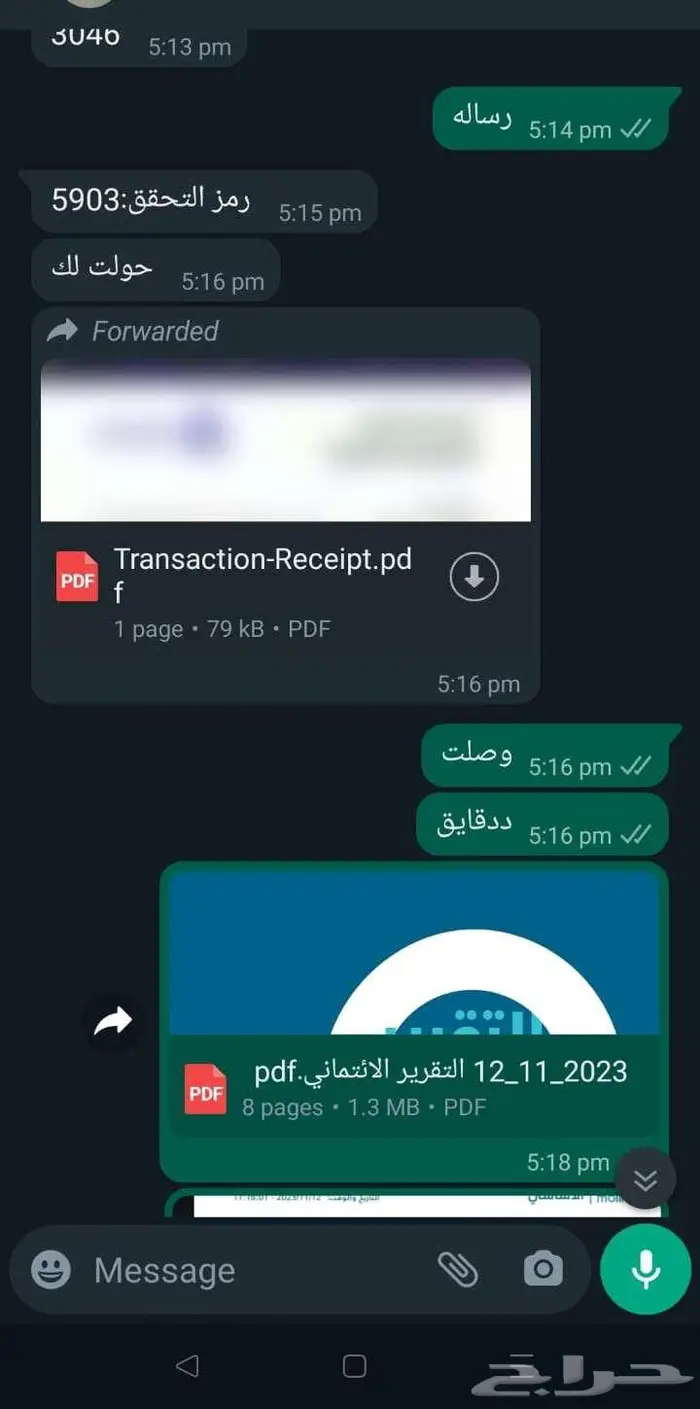 ترجمه تامين الهند شنجن روسيا اندونيسيا فيتنام 14
