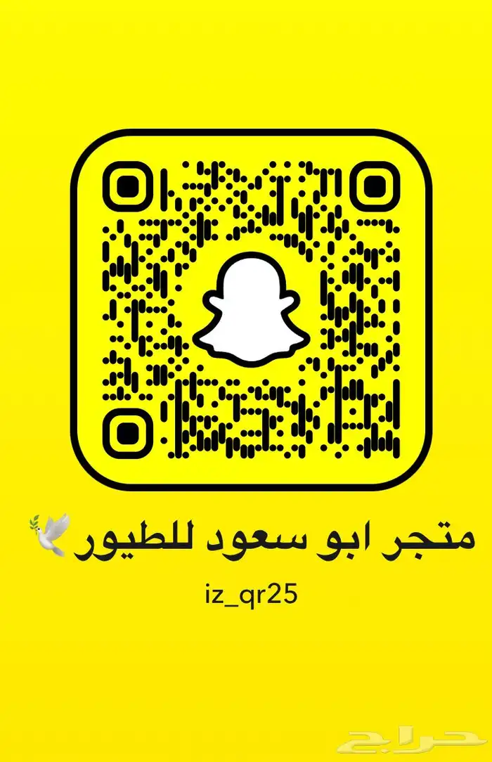 نزلت عرض كاسكو بي2095 كبتن كلام الحقو 0