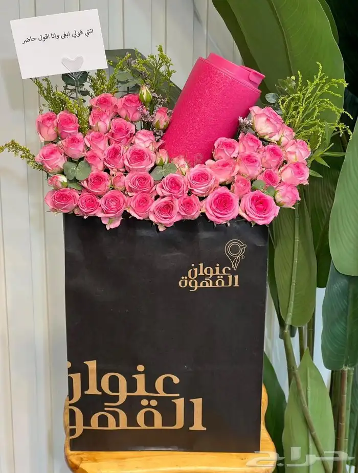مندوب الرياض 1
