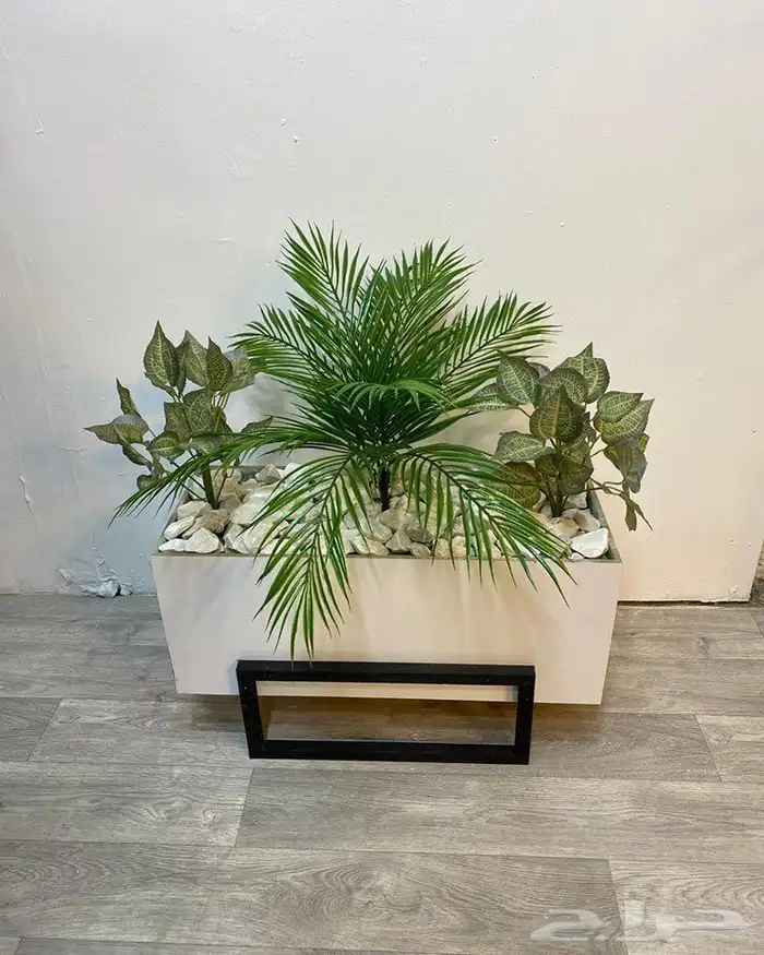 تنسيق الحدائق 12