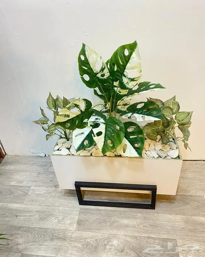 تنسيق الحدائق 10