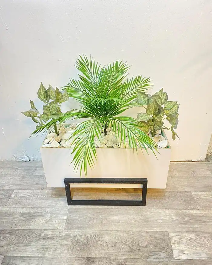 تنسيق الحدائق 11