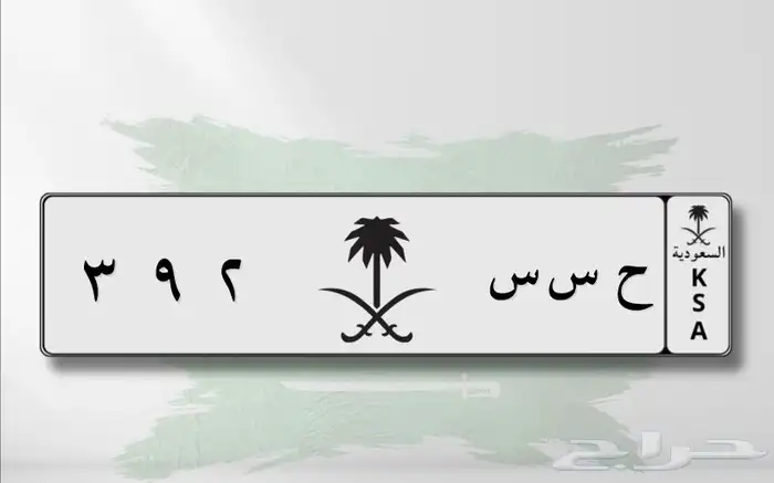 لوحه مميزه ح س س 392 3