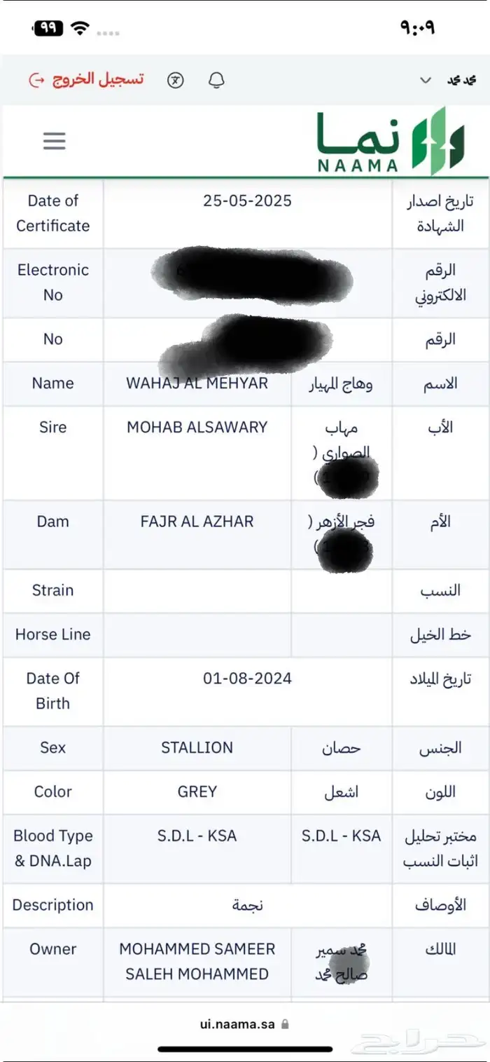 مهر واهو 6