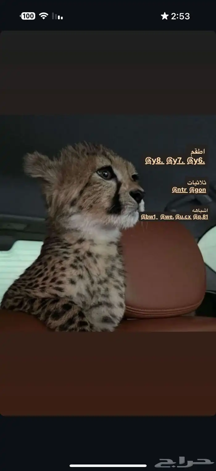 يوزرات انستا ب انواعها 0