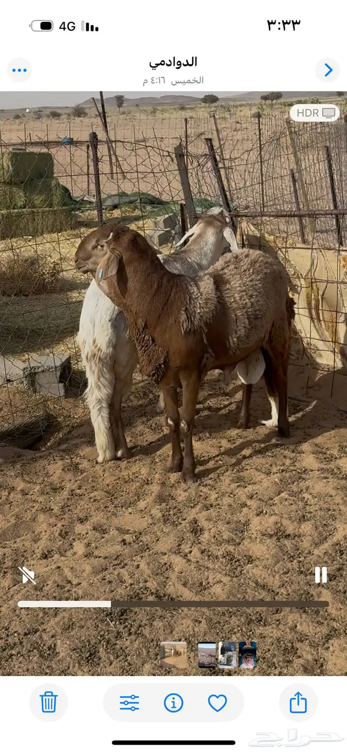 سواكن 0