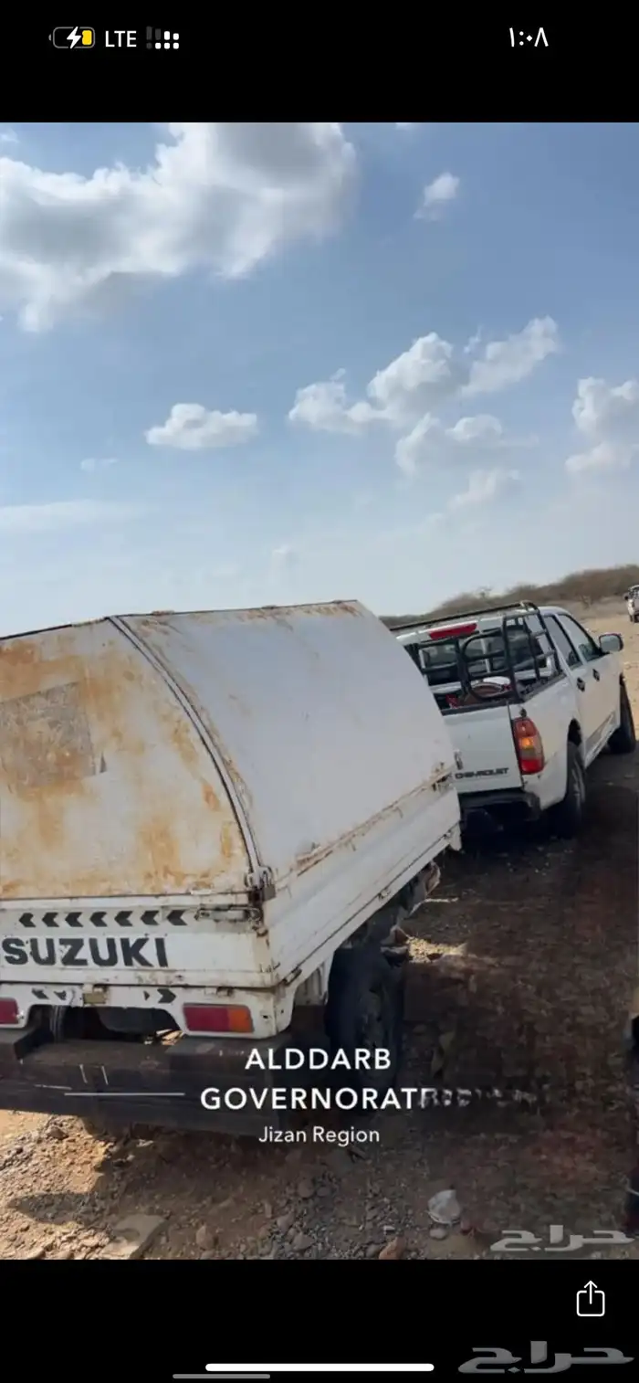 قلوص للبيع2 2