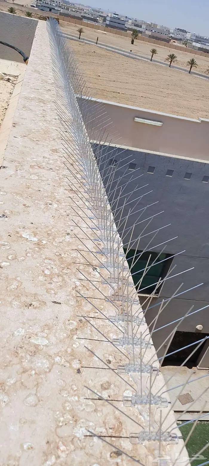 طارد الحمام شبابيك الشوك تركيب شبابيك شوك 1