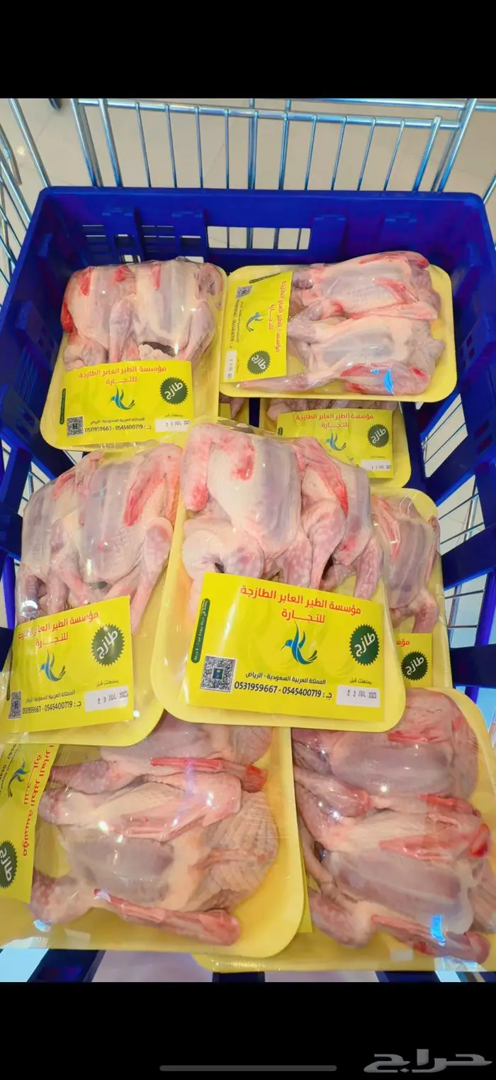 حمام فرنسي و بط و دخل و سمان و أرانب 5
