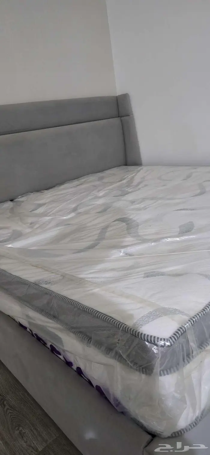 القطيف 4
