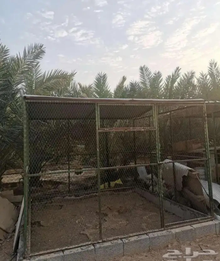 شبك بقلاوة للبيع 1