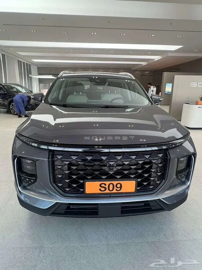 S09 1