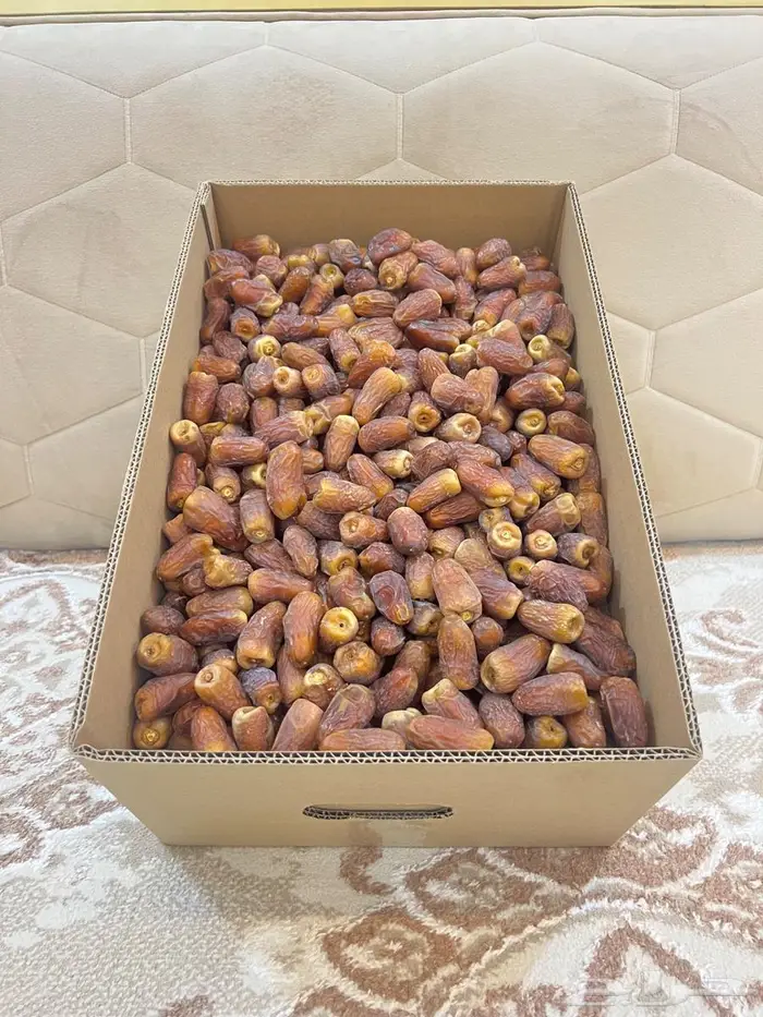 برني فاخر 2