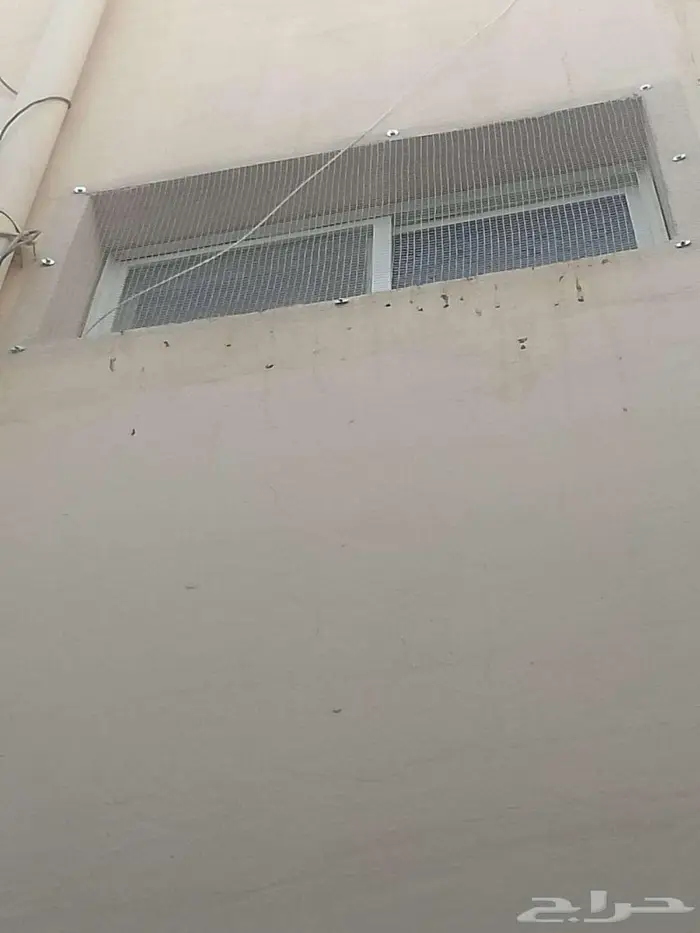 طارد الحمام شبابيك الشوك تركيب شبابيك شوك 6