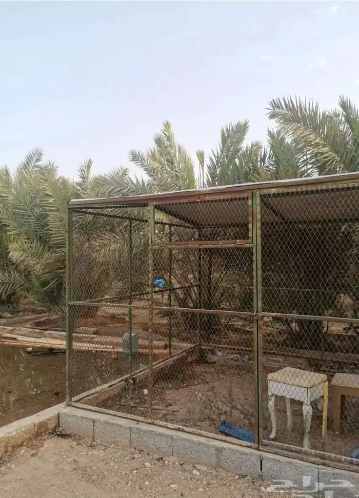 شبك بقلاوة للبيع 0