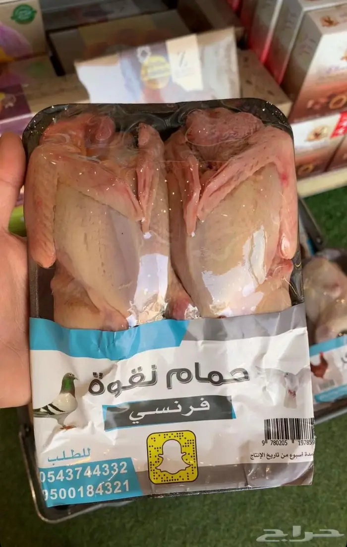 حمام فرنسي و بط و دخل و سمان و أرانب 1