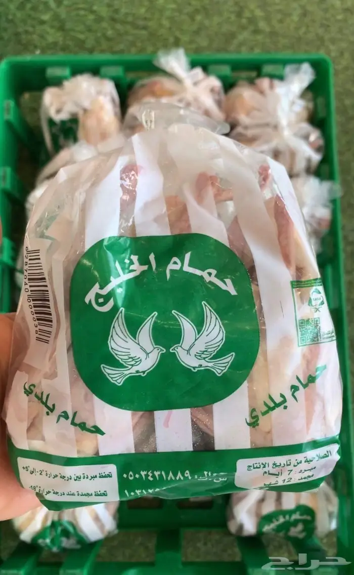 حمام فرنسي و بط و دخل و سمان و أرانب 2