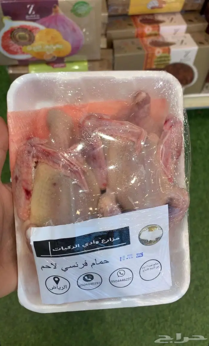 حمام فرنسي و بط و دخل و سمان و أرانب 3
