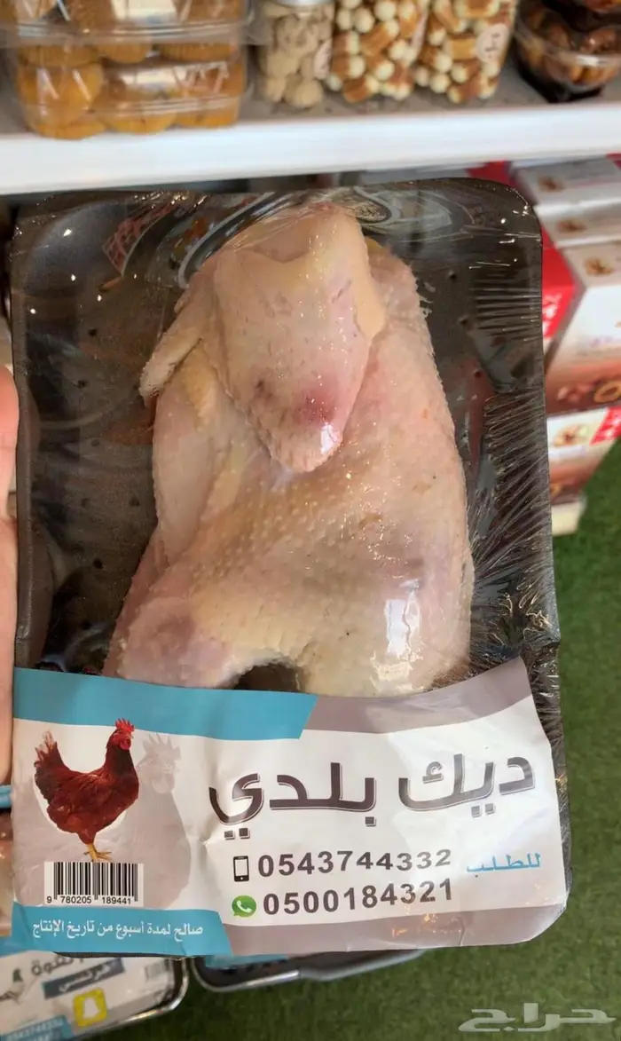 حمام فرنسي و بط و دخل و سمان و أرانب 4