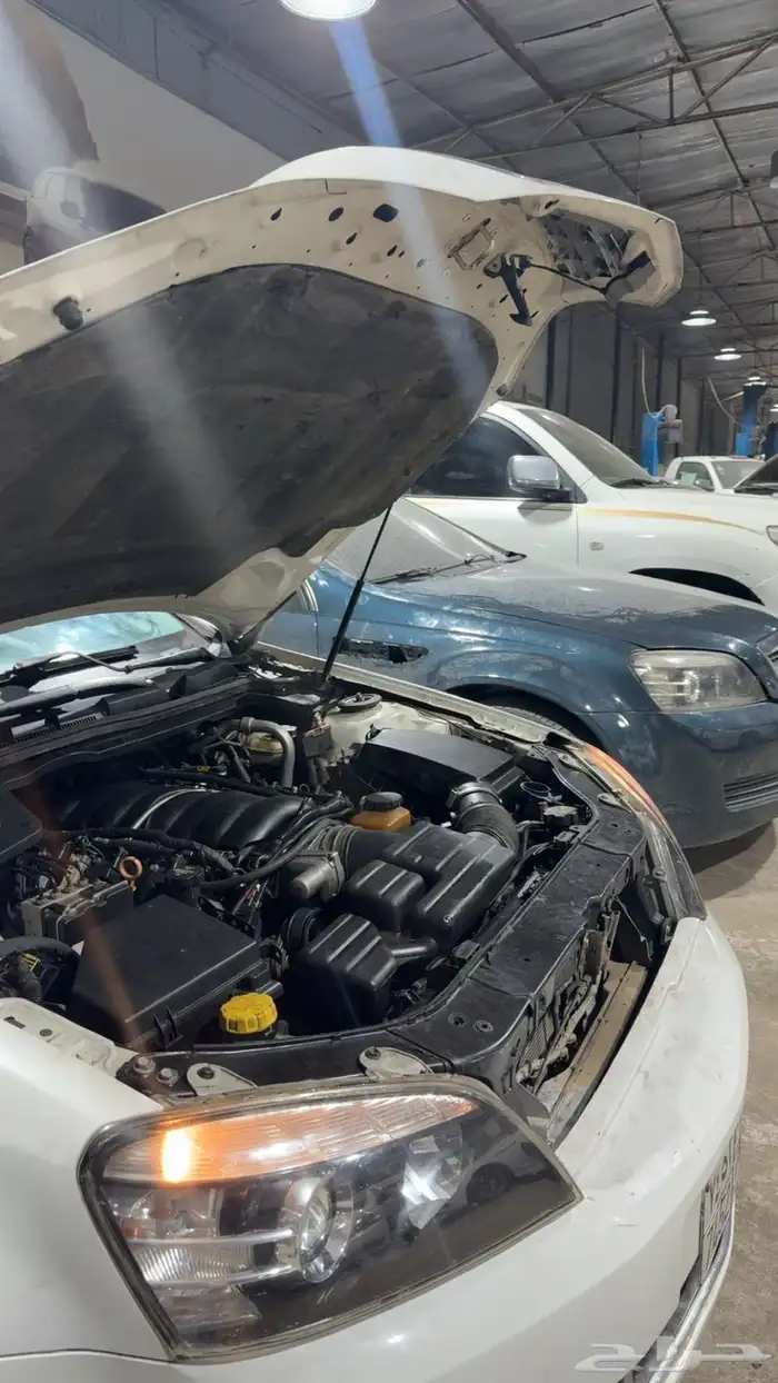 مكاين اكسبدشن كابرس بي جميع الاحجام ضمان سنه 7