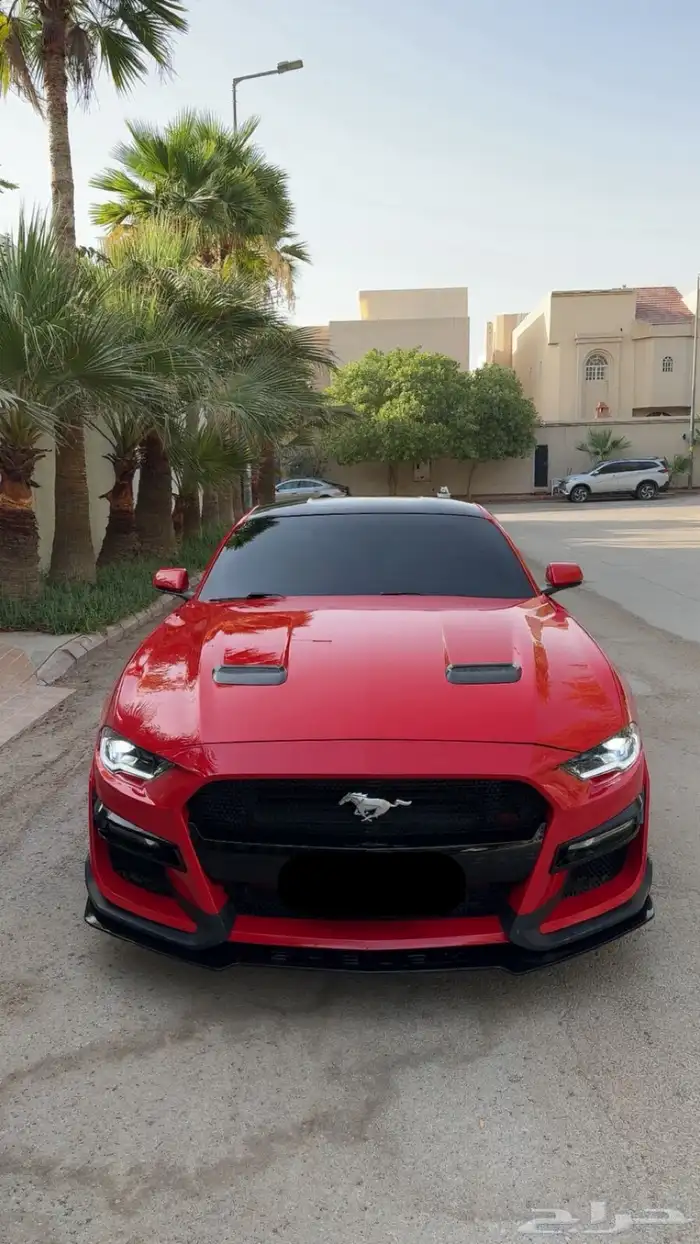 موستنج 2019 فل كامل 7