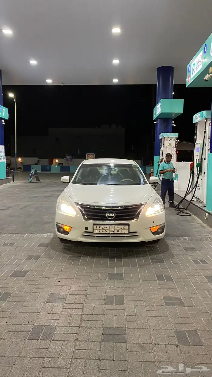 التيماء 2014 7