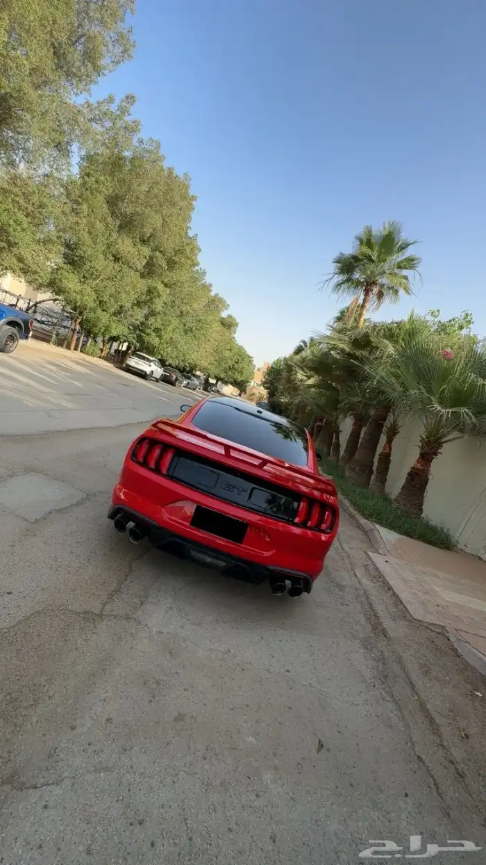 موستنج 2019 فل كامل 9