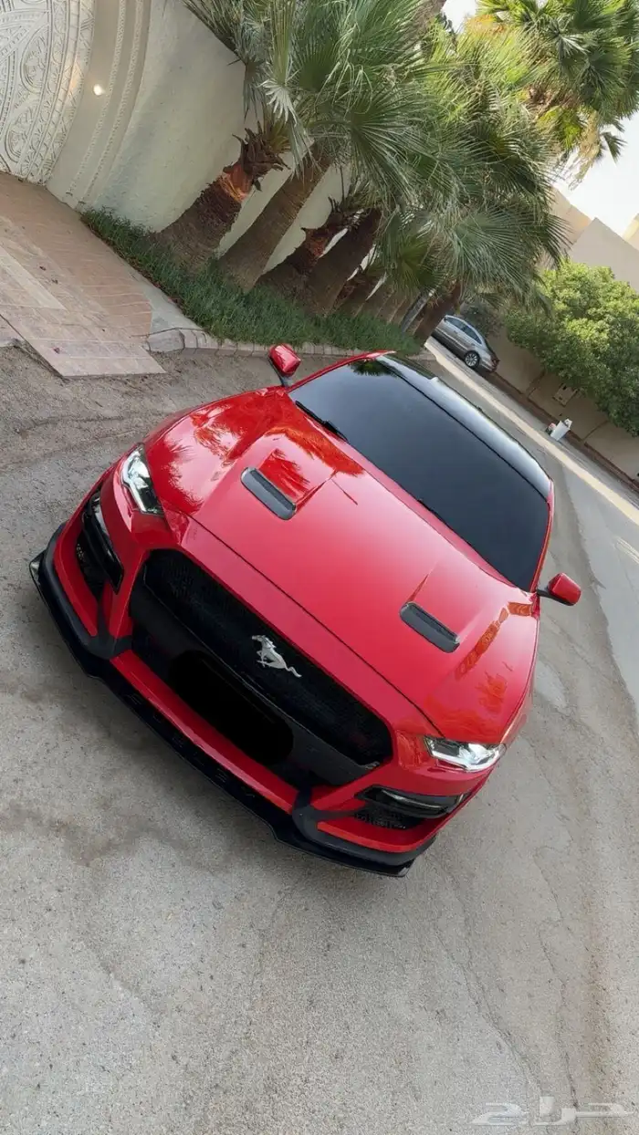 موستنج 2019 فل كامل 3
