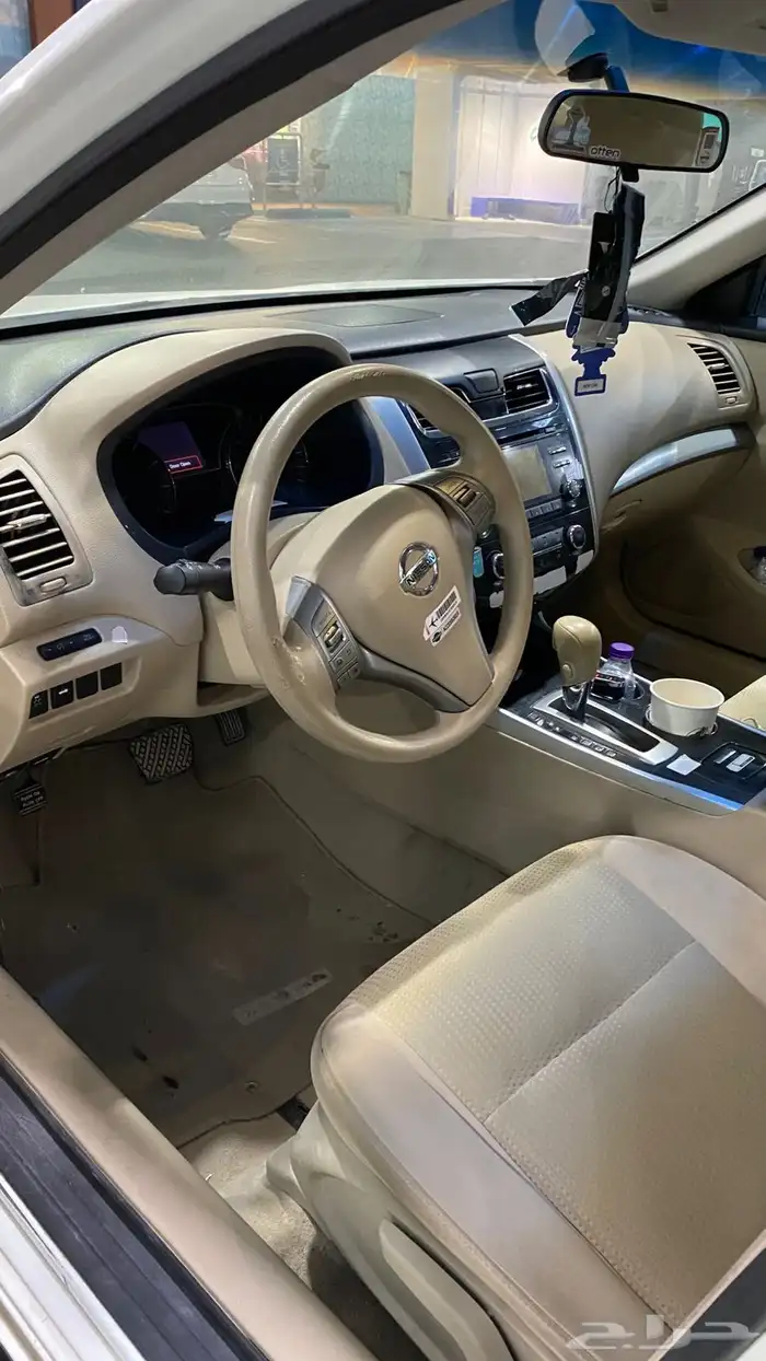 التيماء 2014 19