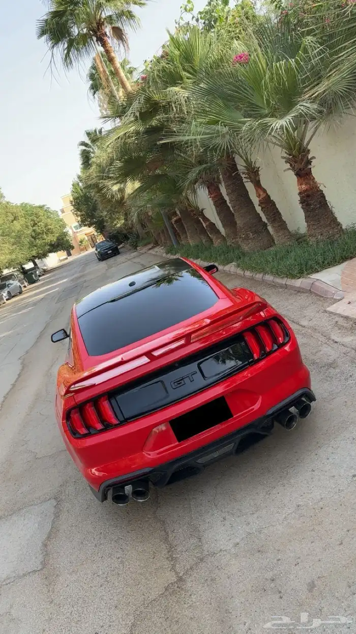موستنج 2019 فل كامل 11