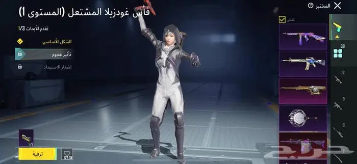 حساب ببجي مستعجل 17