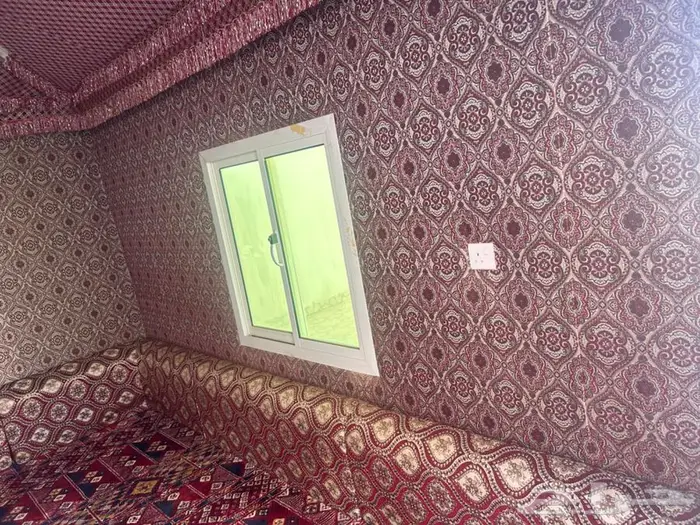 بيت شعر ملكي تفصيل بكامل اغراضه ينبع البحر 0