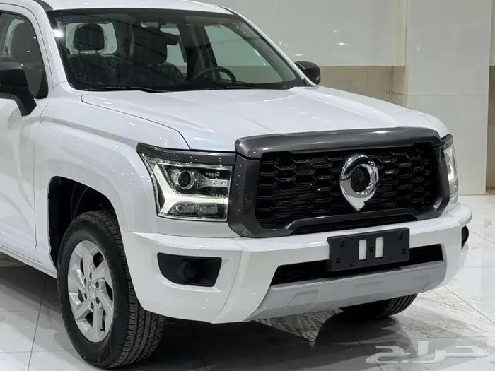 جريت وول باور غمارتين بنزين 2023 كاش وتمويل افراد وشركات 1
