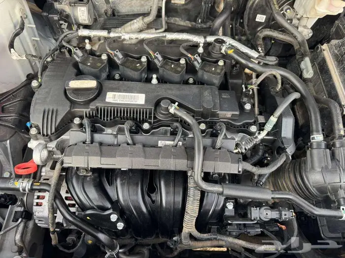 2023 KIA Sportage with auto transmission Accident free 2.0 13