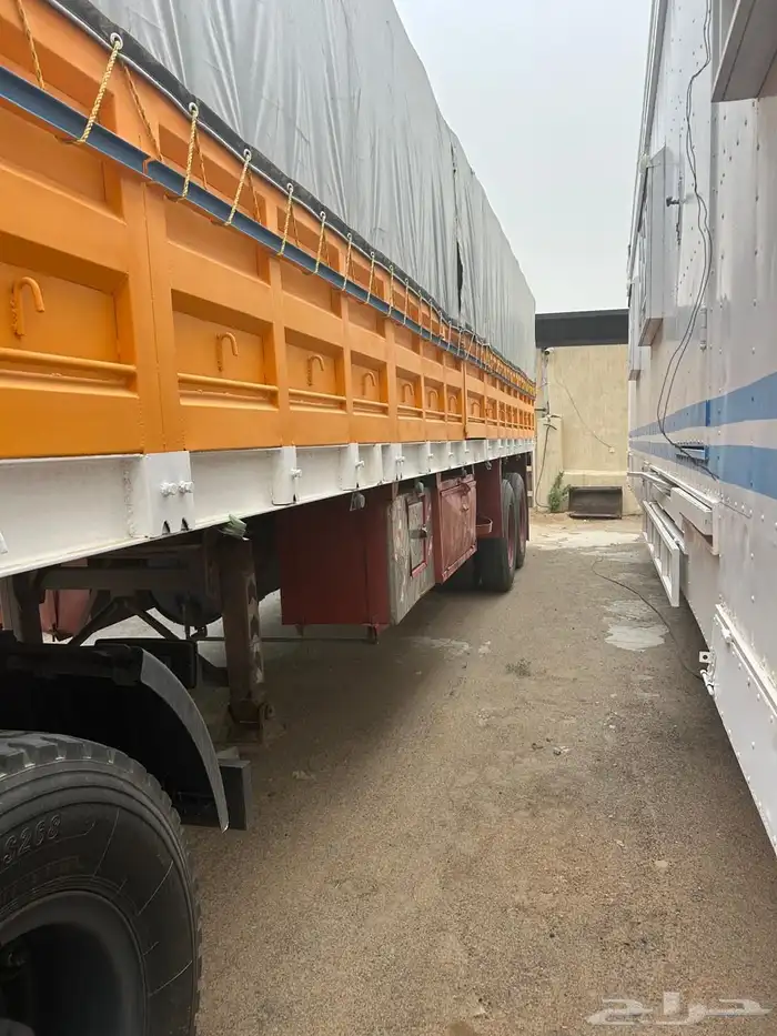 تيدر المطلق 2