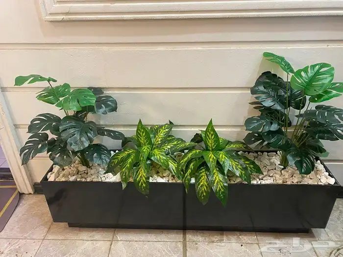 تنسيق الحدائق 13