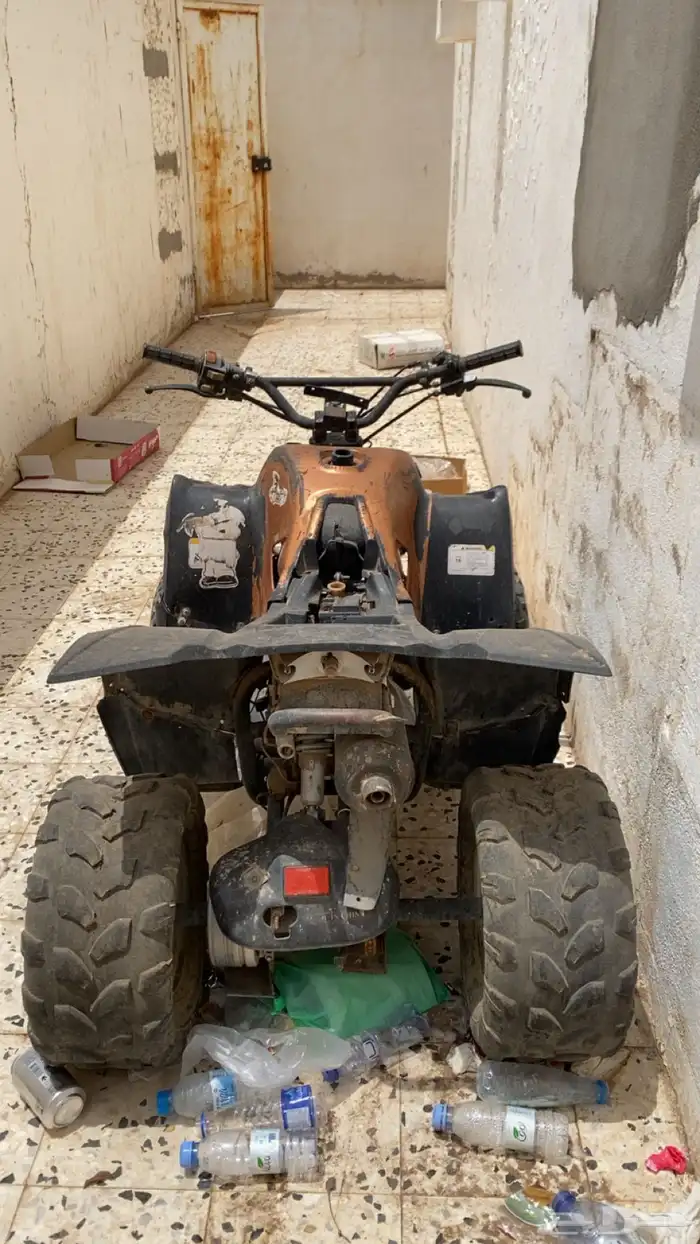 دباب سزوكي 1