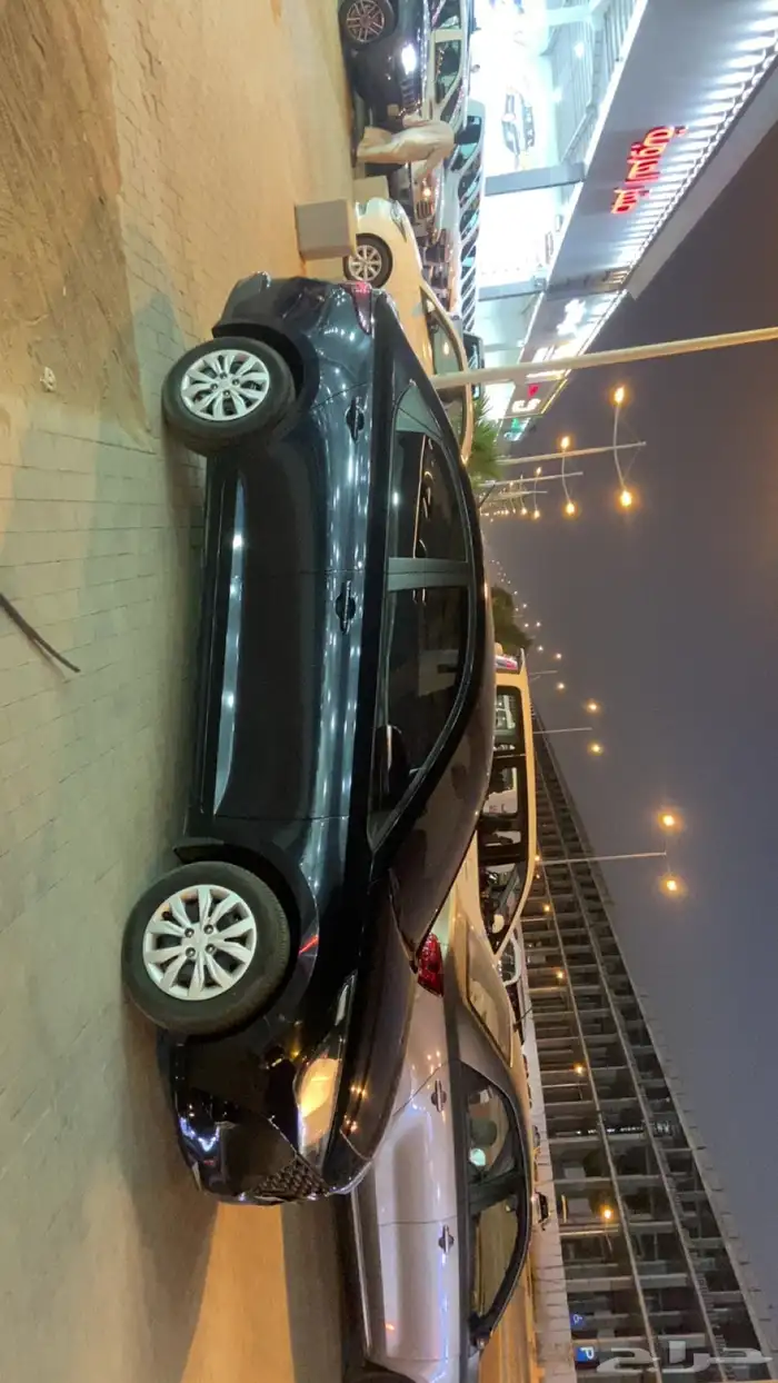 اكسنت2023بدي وكاله 1